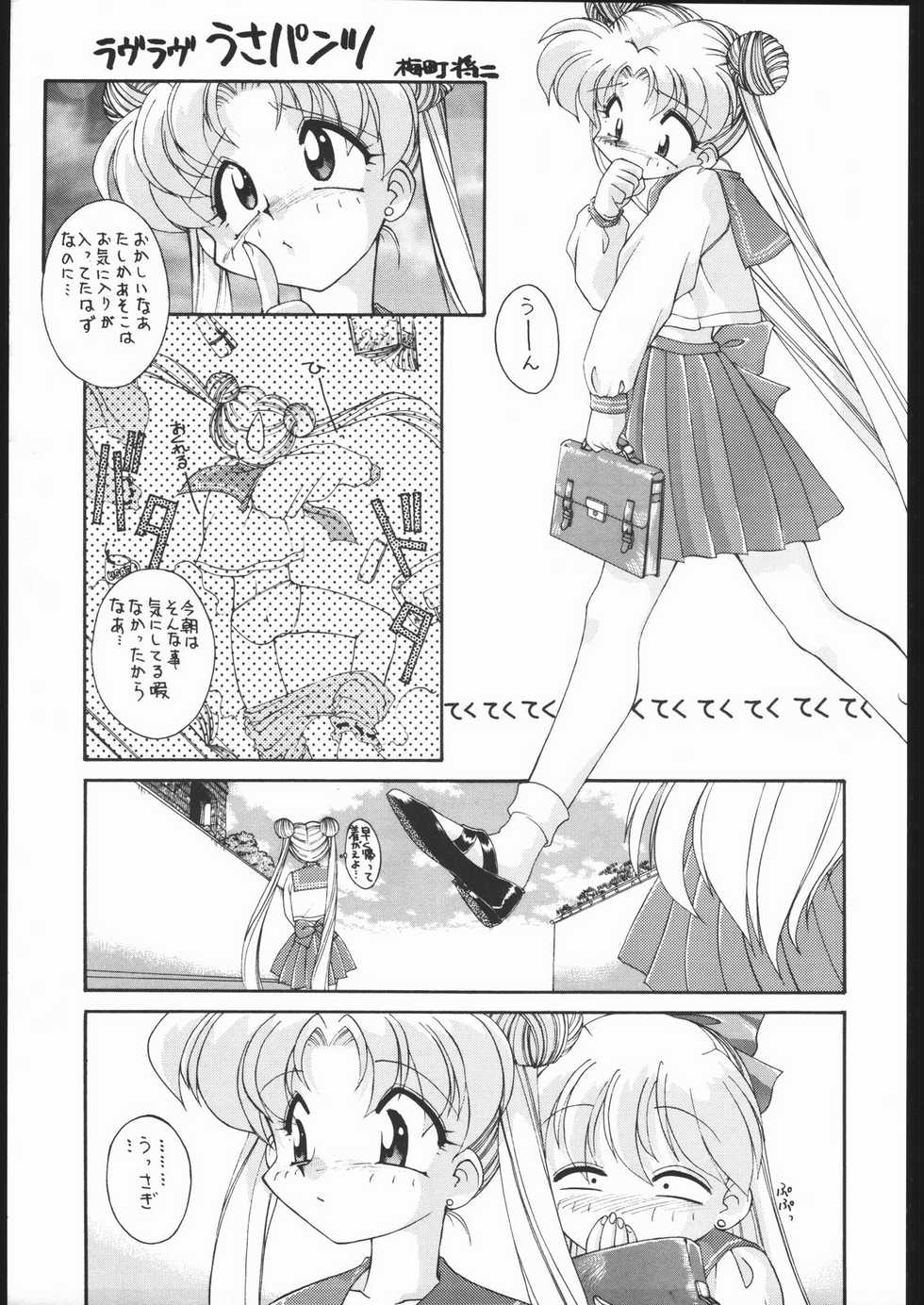 [Ryokan Hanamura (Various)] MISS MOONLIGHT (Bishoujo Senhi Sailor Moon) - Page 6