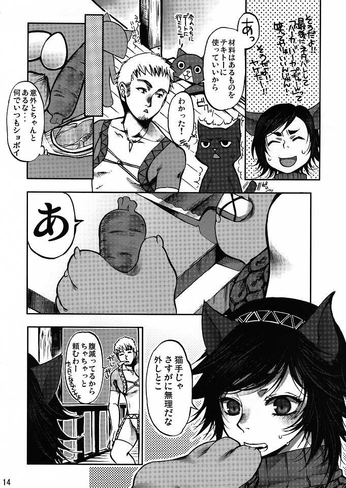 (C80) [Laikaloid (Kamitani)] Monmon Karyuudo 1 (Monster Hunter) - Page 13