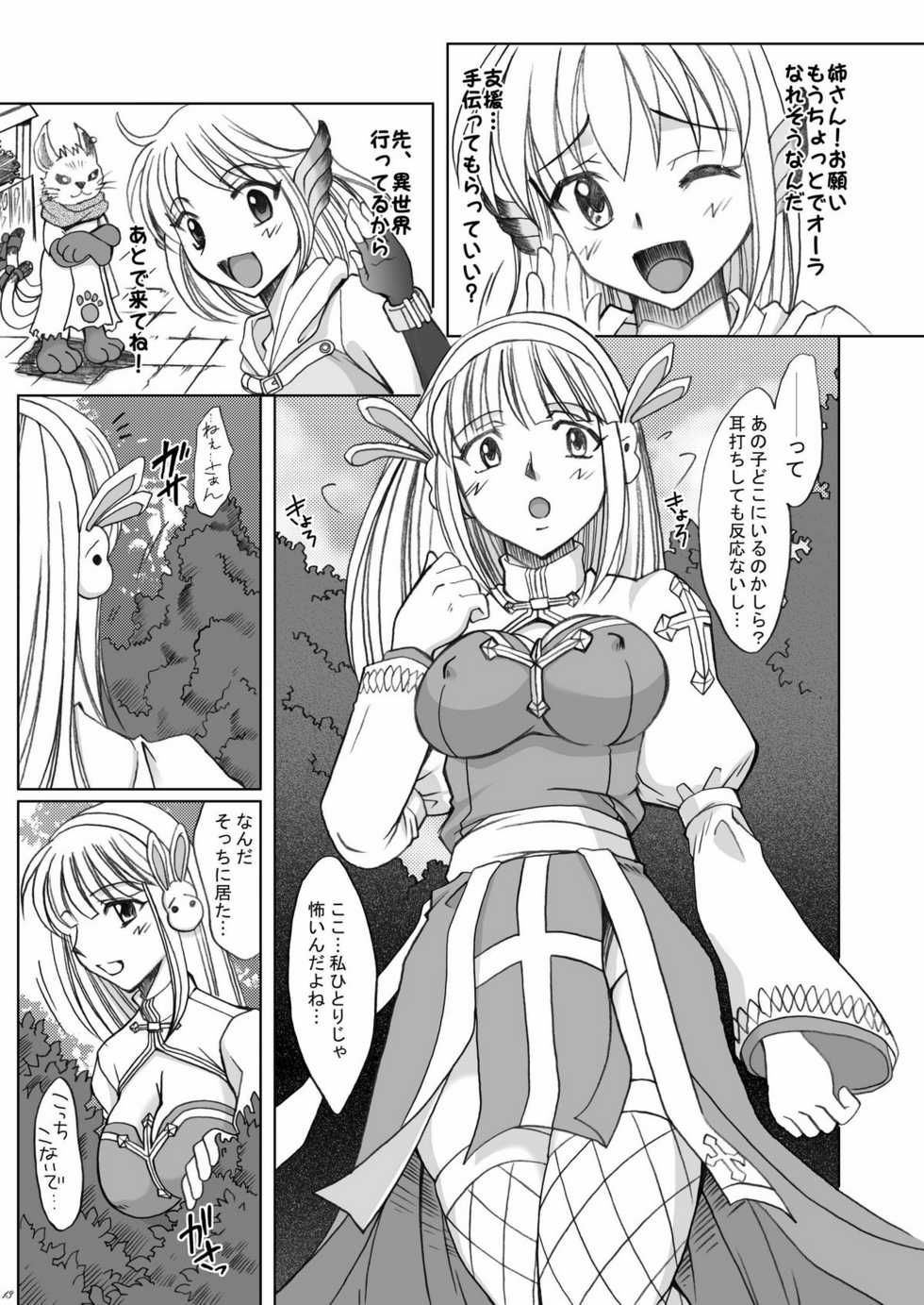 (C79) [Hijouguchi (Darkside-G, Tei-Oh-K-Takamuro)] Futanari Splendid F02 (Ragnarok Online) - Page 13