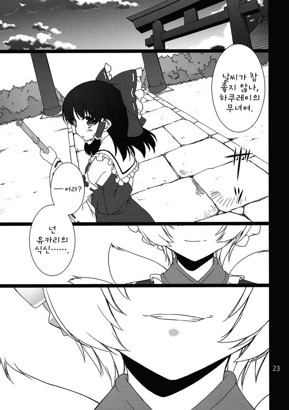 (C77) [TUKIBUTO (Hyouju Issei)] HI-Rotten Administrator (Touhou Project) [Korean] - Page 24