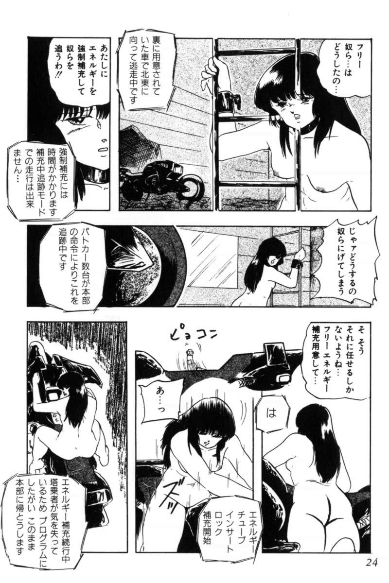 [Kazusa Shima] Slave Hunter - Page 27