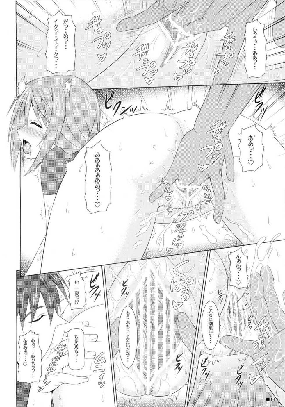 (C80) [Turning Point (Uehiro)] Char no Himegoto (Infinite Stratos) - Page 14