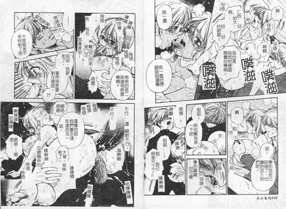 [Anthology] Ingyaku Ane Otouto Soukan [Chinese] - Page 18