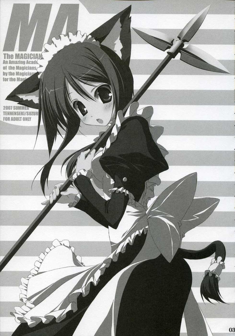 (C72) [Tennenseki (Suzuri)] MA (Magician's Academy) - Page 2
