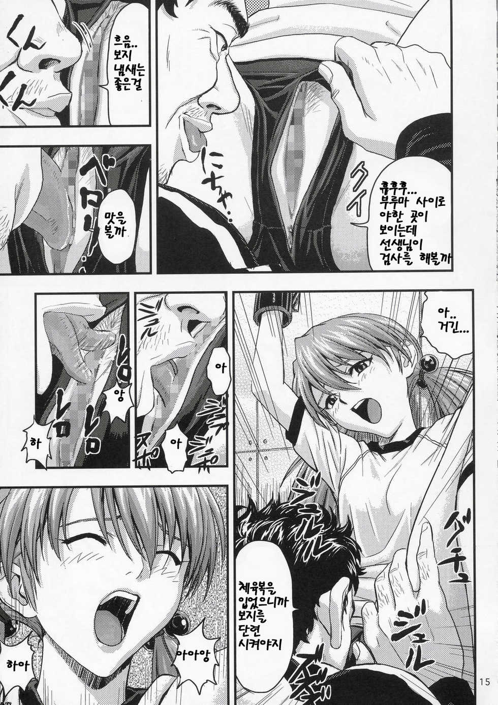 (C67) [Nakayohi (Izurumi)] A-five (Neon Genesis Evangelion) [Korean] [Bigking] - Page 14