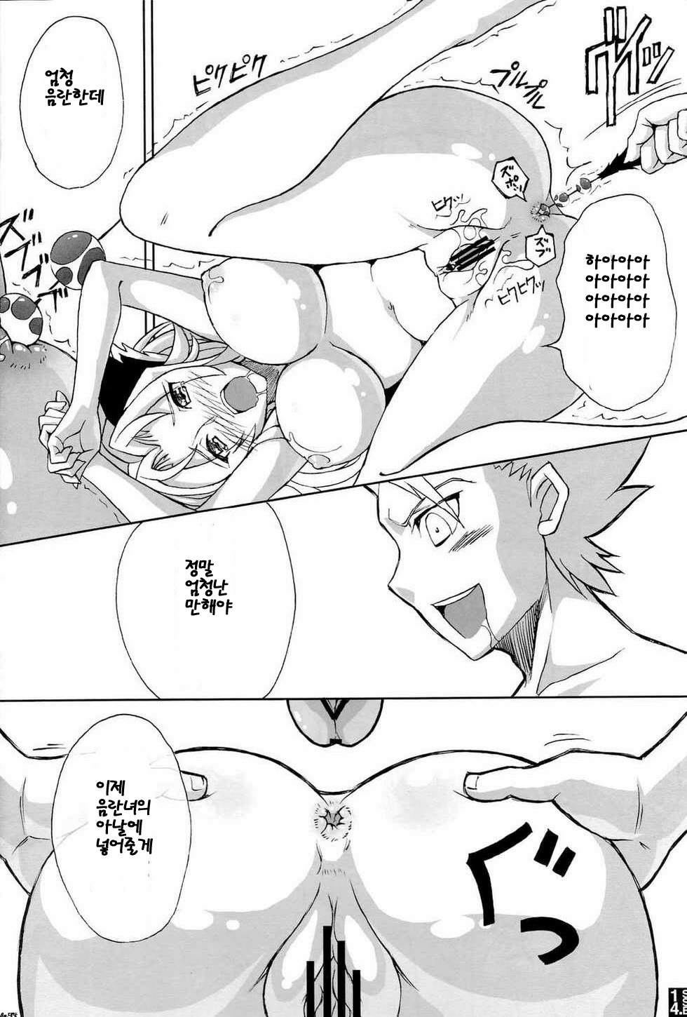 (C70) [Crazy Alicetale (Kizoku)] Sexy Summer Beach (Bleach) [Korean] {Bigking} - Page 12
