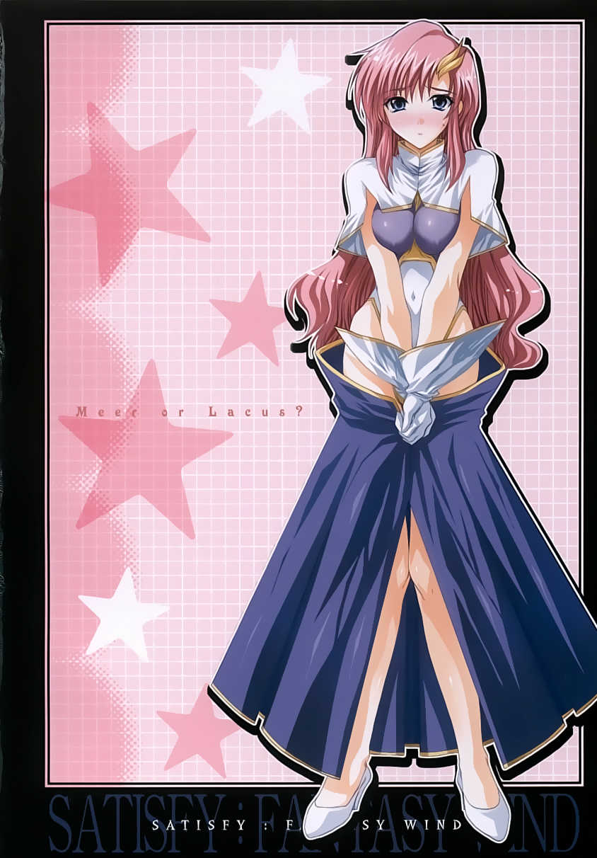 (C68) [FANTASY WIND (Shinano Yura)] satisfy (Gundam SEED DESTINY) [Espa&ntilde;ol ] [Nightow] - Page 17