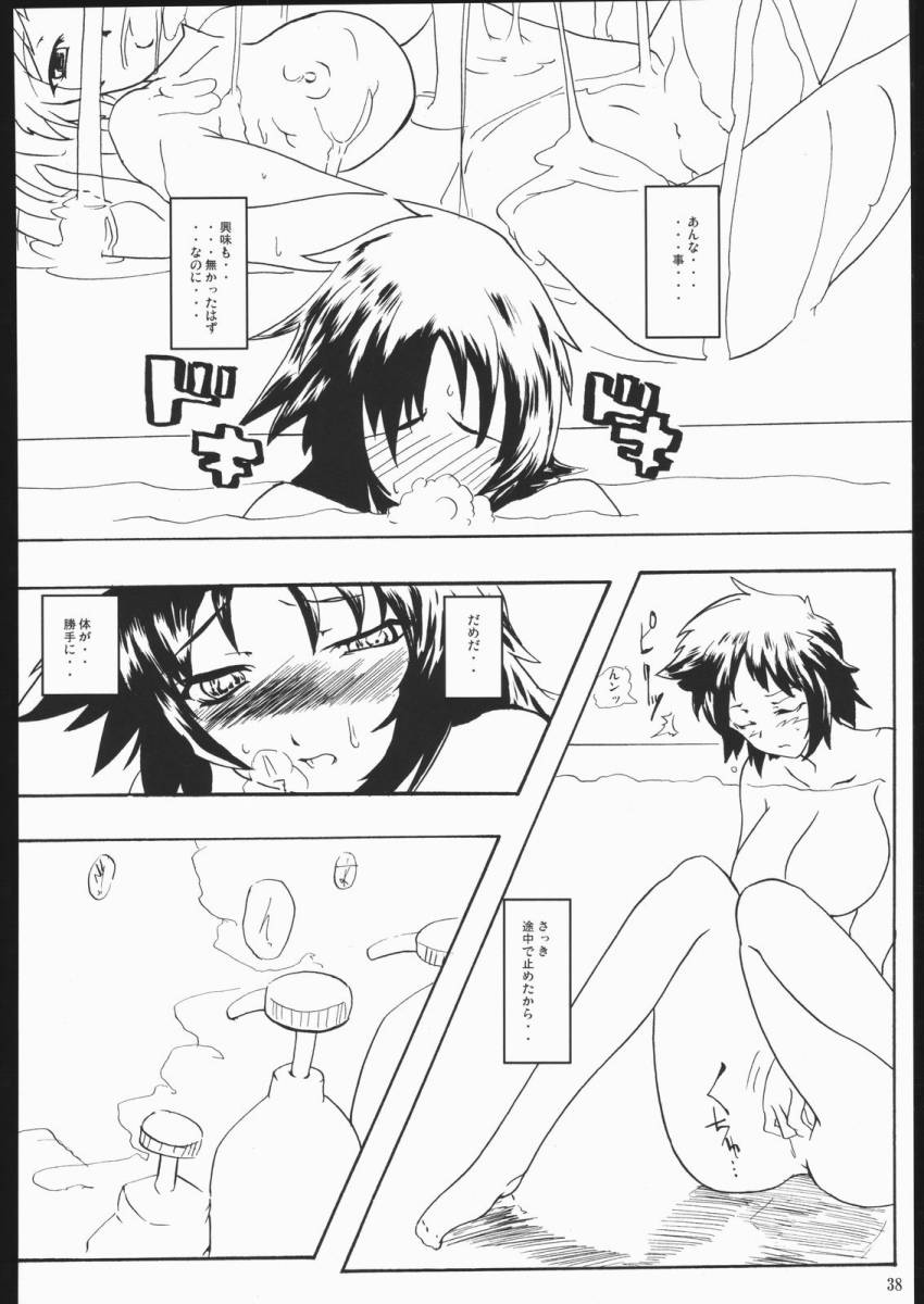 (CR37) [Nippon Teikoku Toshokan (Hanpera, Kiya Shii, Ys-R)] Internal ERROR (Read or Die) - Page 37