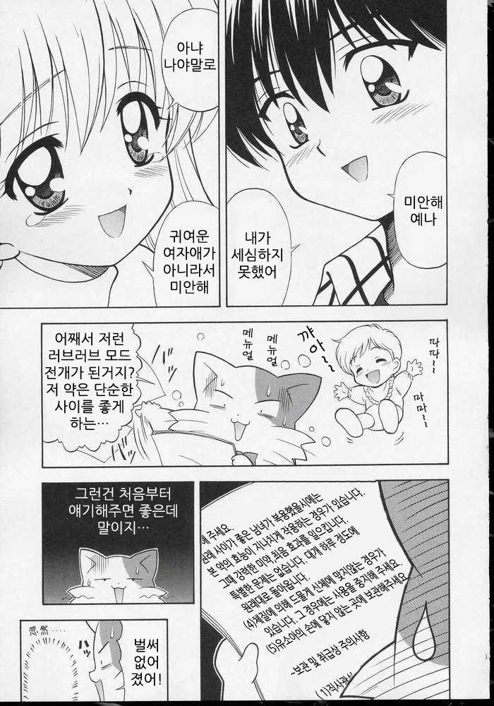 (SC23) [STUDIO RUNAWAY WOLF (Nakajima Akihiko)] Wanya Dake wa Yurasanai! (Daa! Daa! Daa!) [Korean] [Project H] - Page 11