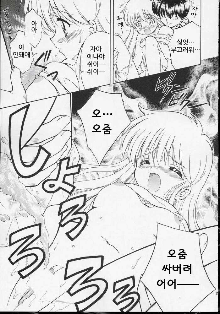 (SC23) [STUDIO RUNAWAY WOLF (Nakajima Akihiko)] Wanya Dake wa Yurasanai! (Daa! Daa! Daa!) [Korean] [Project H] - Page 15