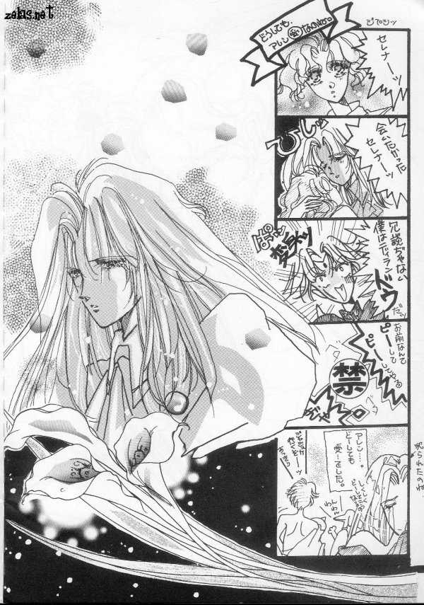 [FATIMA FENATIC Bunshitsu Allen Kyouikuiinkai] Ai Shite Iru to Ittekure (The Vision of Escaflowne) - Page 3