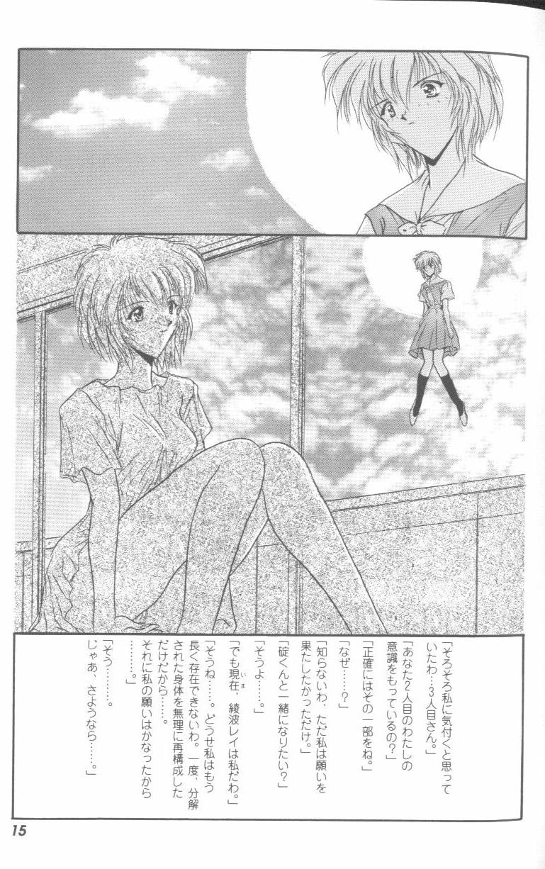 [Anthology] Project E Dainiji Chuukanhoukoku (Neon Genesis Evangelion) - Page 15