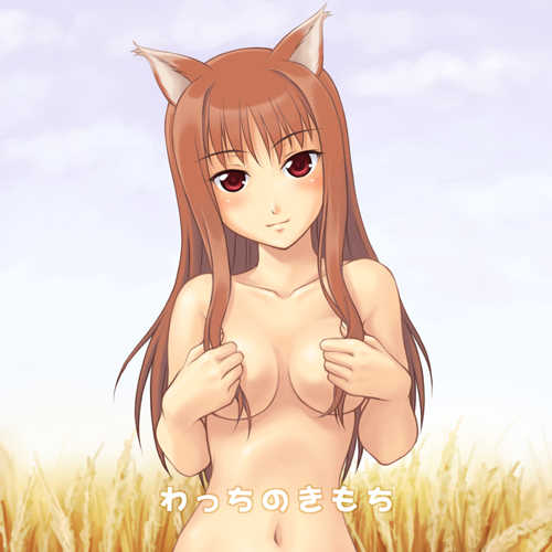 [Kagehara Hanzou] Wacchi no Kimochi (Spice & Wolf) - Page 1