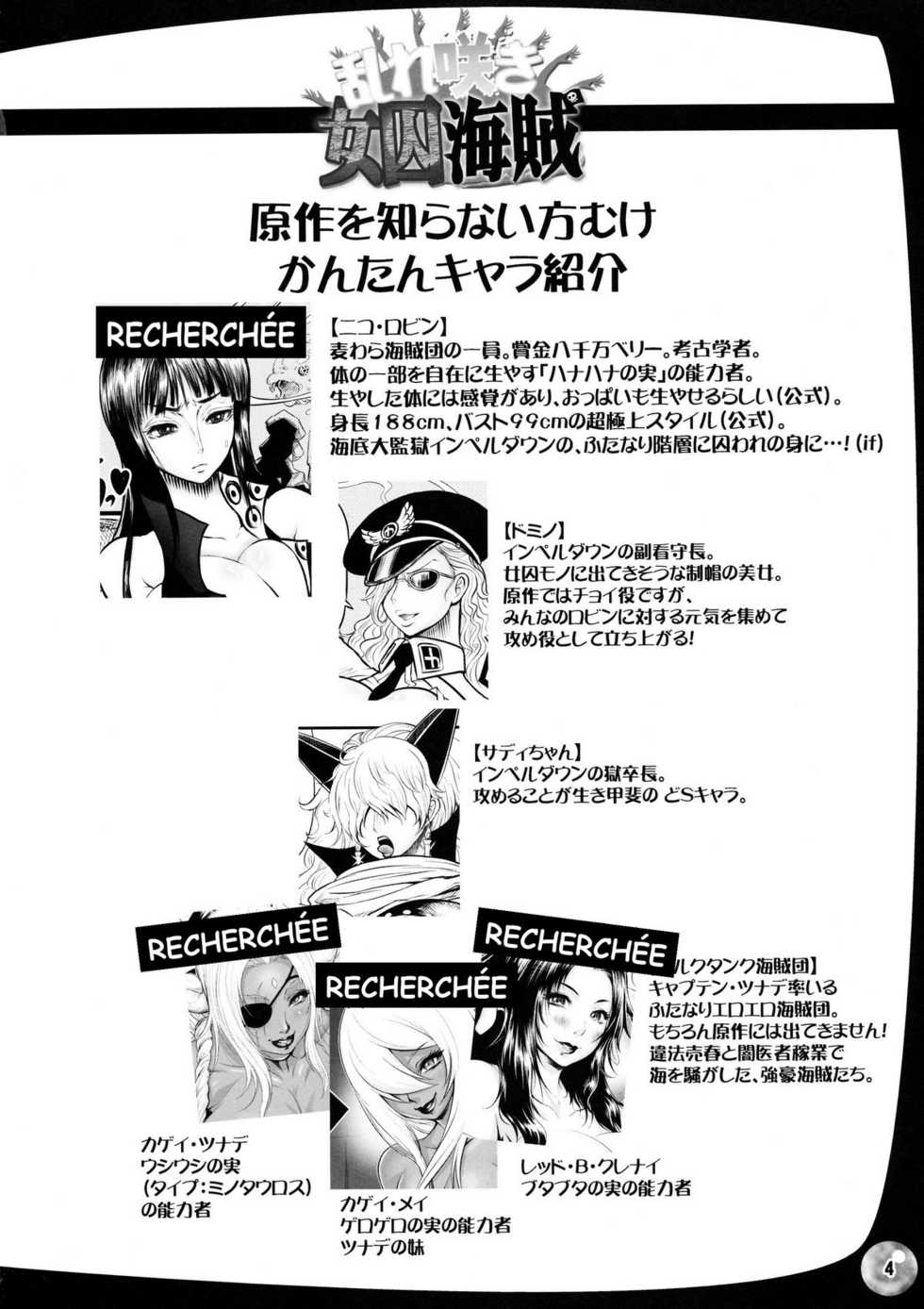 (C77) [Arsenothelus (Rebis, Chinbotsu)] Midarezaki Joshuu Kaizoku (ONE PIECE) [French] - Page 3