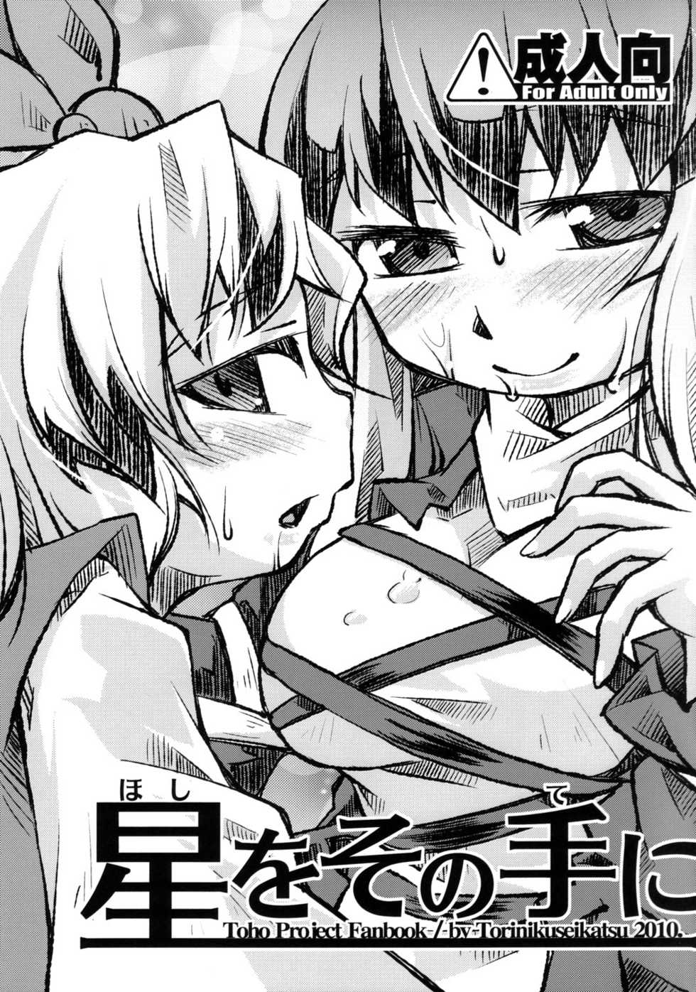 (Reitaisai 7) [Toriniku Seikatsu (Emu/nyagakiya)] Hoshi o Sono Te ni (Touhou Project) - Page 1