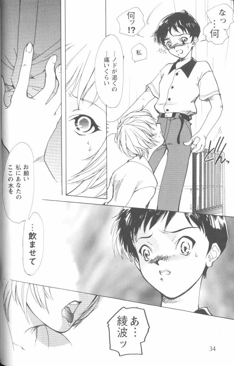 [Anthology] Project E Daiyonji Chuukanhoukokusho (Neon Genesis Evangelion) - Page 32