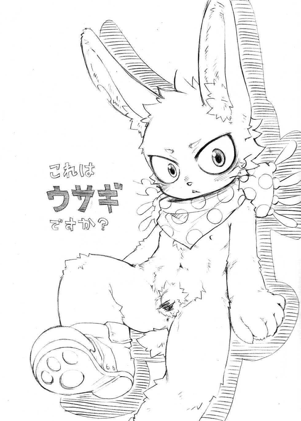 (Shota Scratch 14) [KPTM'S (Kurotsuki Kyouto)] Kore Ha Usagi Desuka (Oumagadoki Zoo) - Page 2