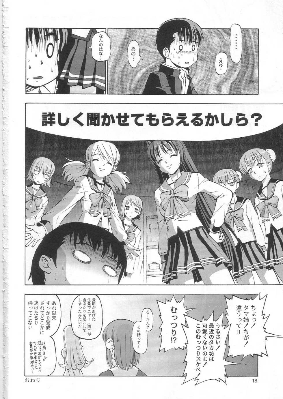 (C68) [Z-Less (Shirahama Kouta, Hazure Michimaru)] Mystery Juu Monogatari (ToHeart2) - Page 17