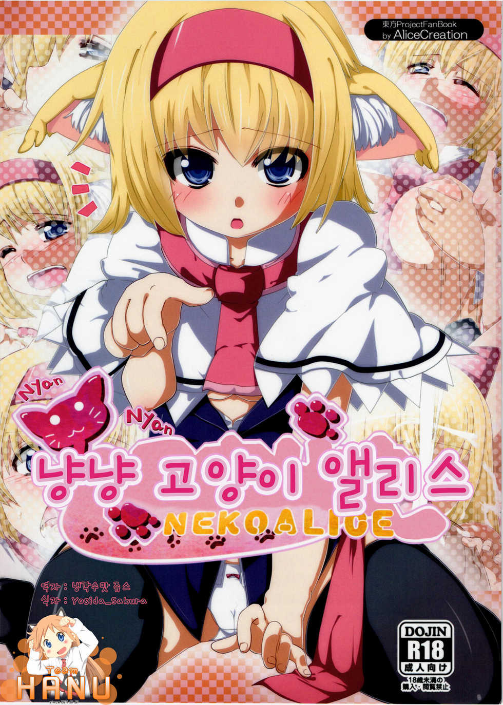 (C80) [AliceCreation (Ruku)] Nyan Nyan Neko Alice (Touhou Project) (korean) - Page 1