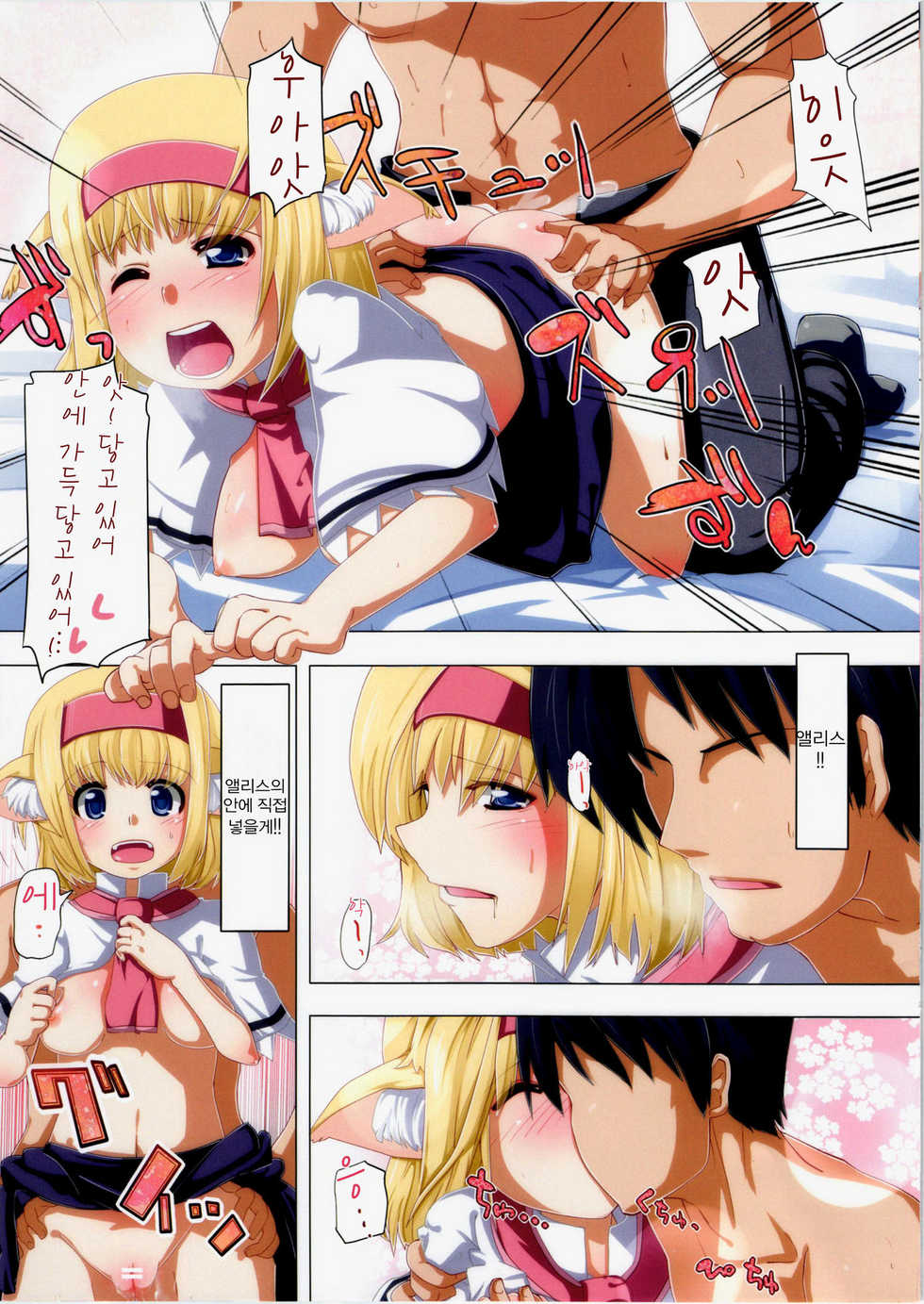 (C80) [AliceCreation (Ruku)] Nyan Nyan Neko Alice (Touhou Project) (korean) - Page 9