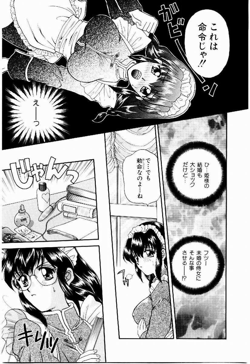 [BAKEDANUKI] Maid in Princess - Page 13