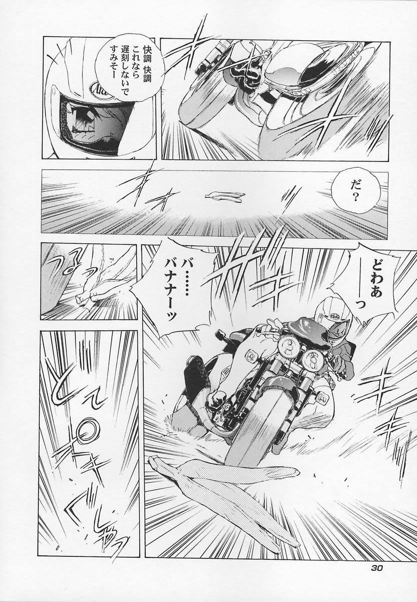 [Hariken Hanna] Sanshimai H Monogatari 2 - Page 34