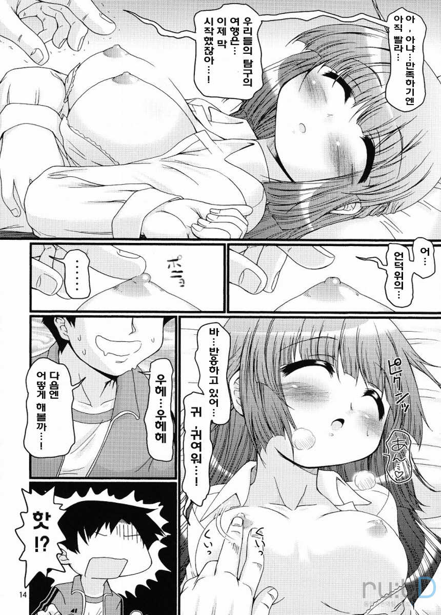 (C76) [FESTA. (Yoshitani Ganjitsu)] Tokumori Priceless (Hidamari Sketch) [Korean] [ru:tD] - Page 13