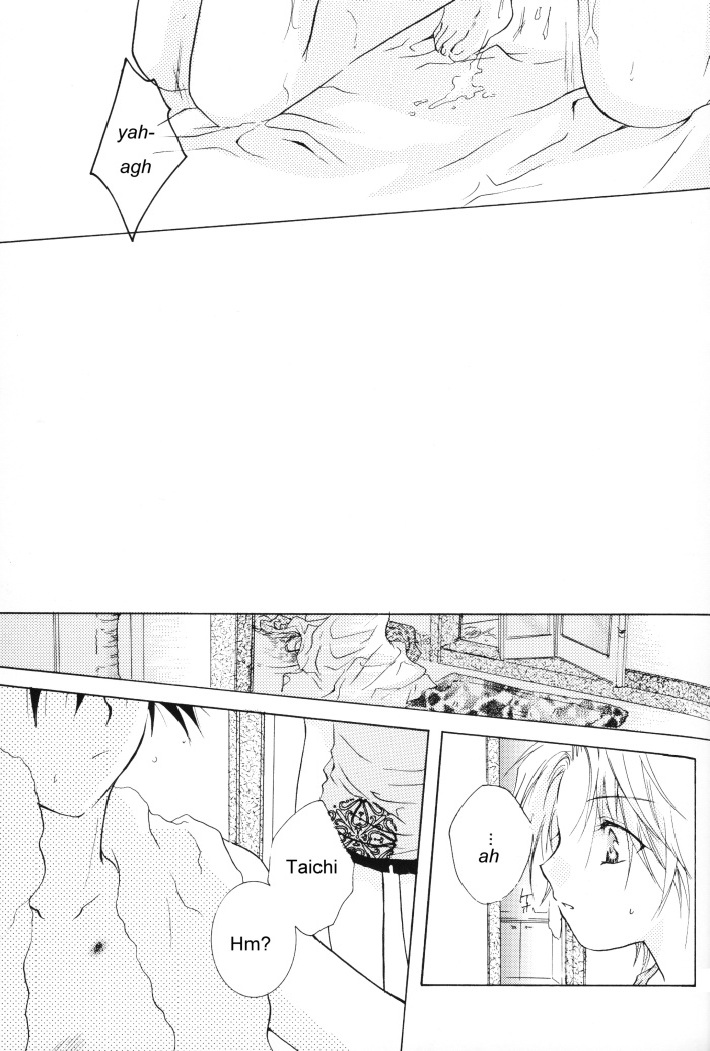 (SUPERKansai8) [SECTION E (Hirose Yukiya)] SUNSHINE and MOONLIGHT (Digimon Adventure 02) - Page 21