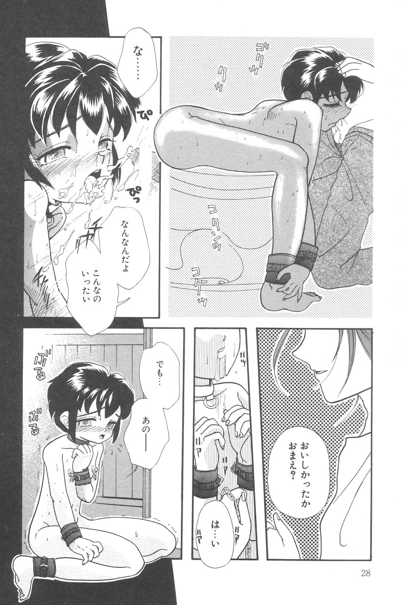 [Anthology] Little Pierce Vol. 2 - Page 28