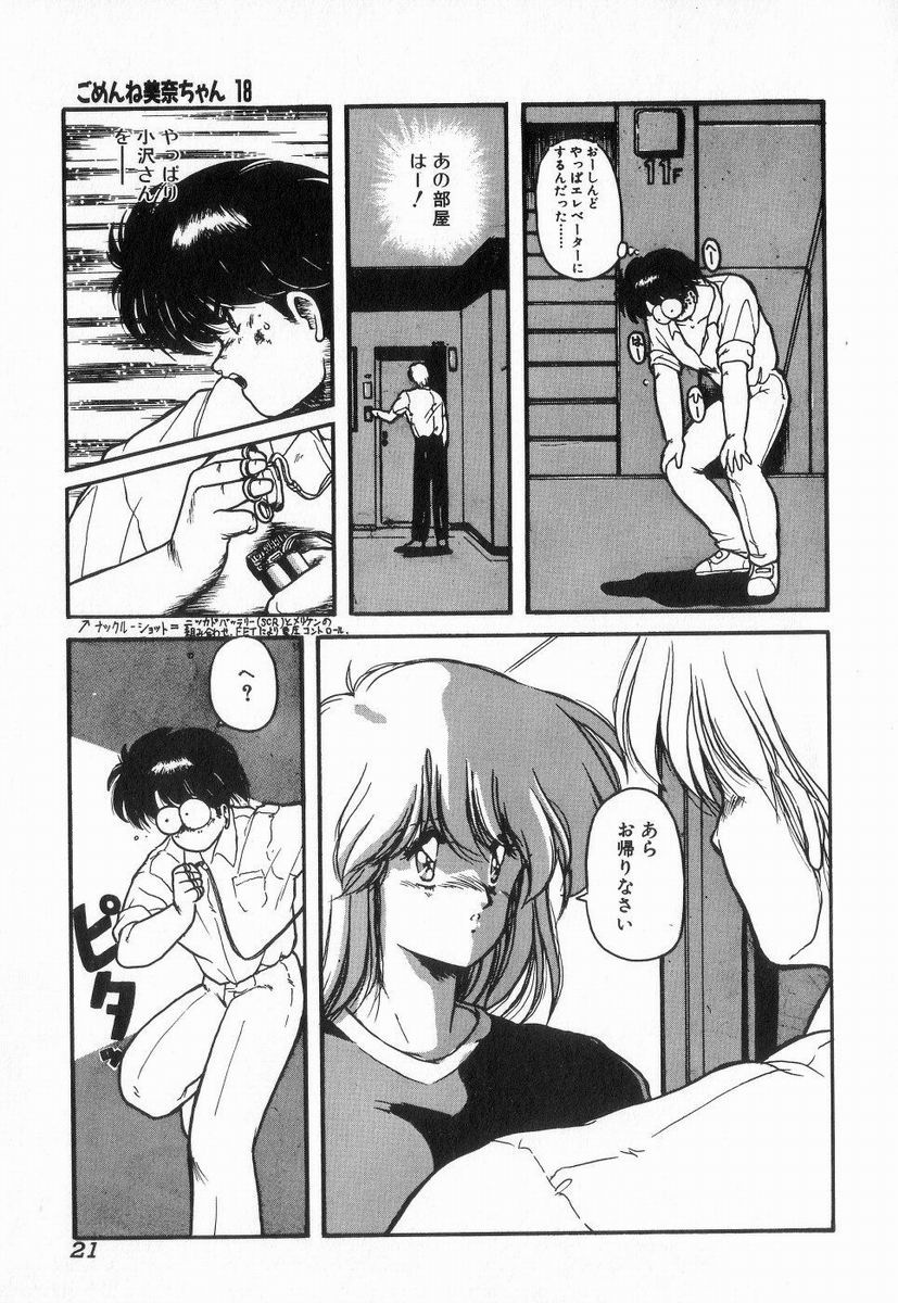 [Makuwa] Gomenne Mina-chan 3 - Page 21