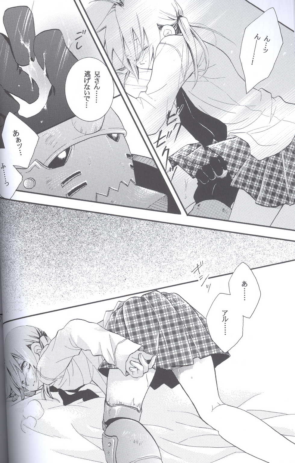 [Hakai Ryouiki (Yasuhara Yuki)] SUPER ordinary SEX (Fullmetal Alchemist) - Page 25