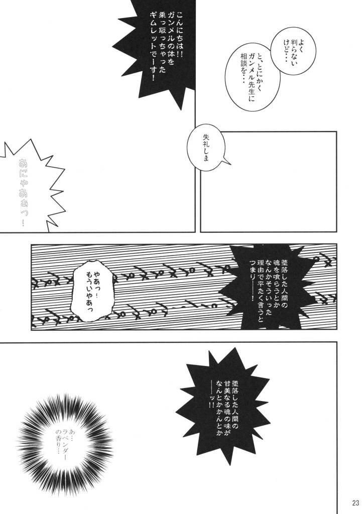 (C72) [Arismetic Tirol (aritou)] VANILLA (Odin Sphere) - Page 22