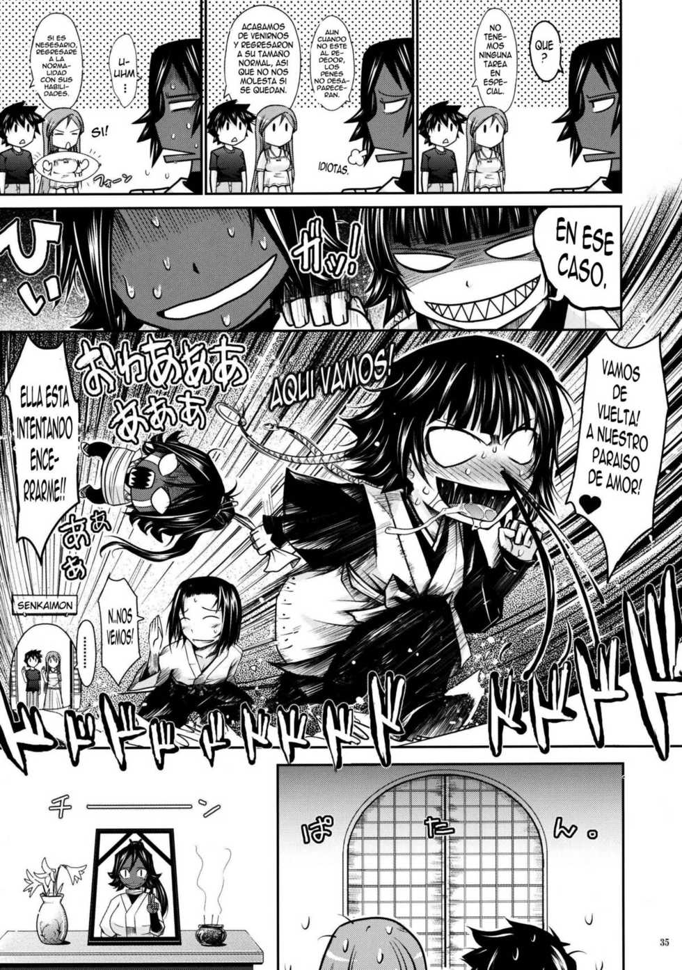 (C76) [Garyuh-Chitai (TANA)] Aki-Akane -Kouhen II- | Aki-Akane -Secuela 2- (Bleach) [Spanish] [El Moe de la 8] - Page 34