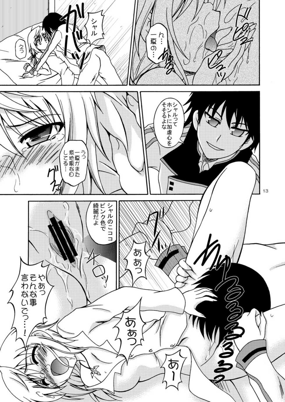 [Red Ribbon Revenger (Hayama, Kamihara Mizuki, Makoushi)] Ore to Char ga Konna ni Midareru Wake ga nai (IS <Infinite Stratos>) - Page 12