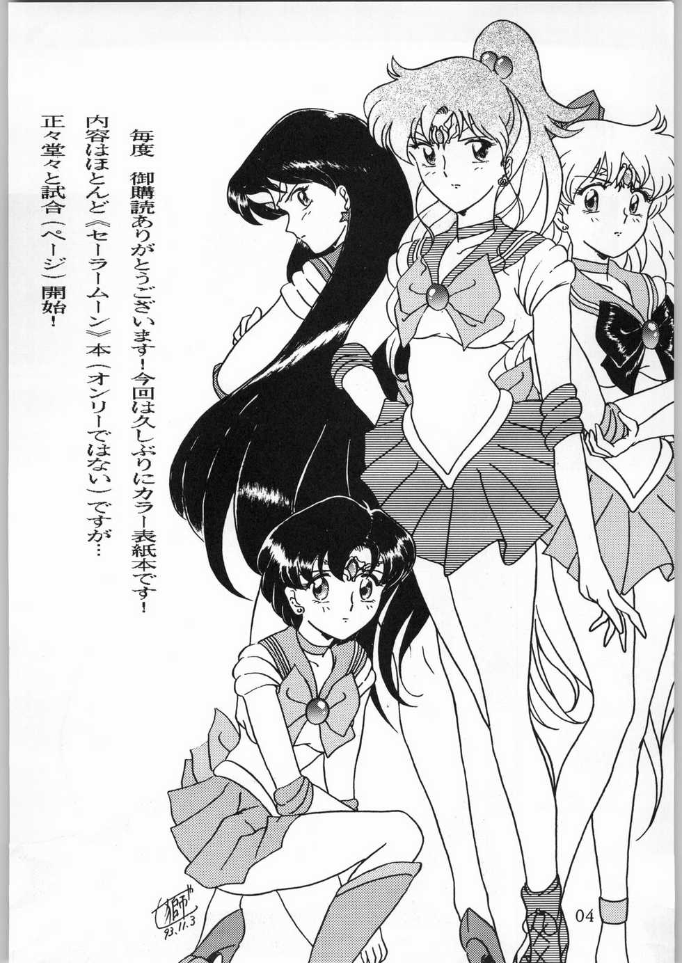 [Effecter (Various)] Katsugeki Nyan Nyan (Bishoujo Senshi Sailor Moon) - Page 3