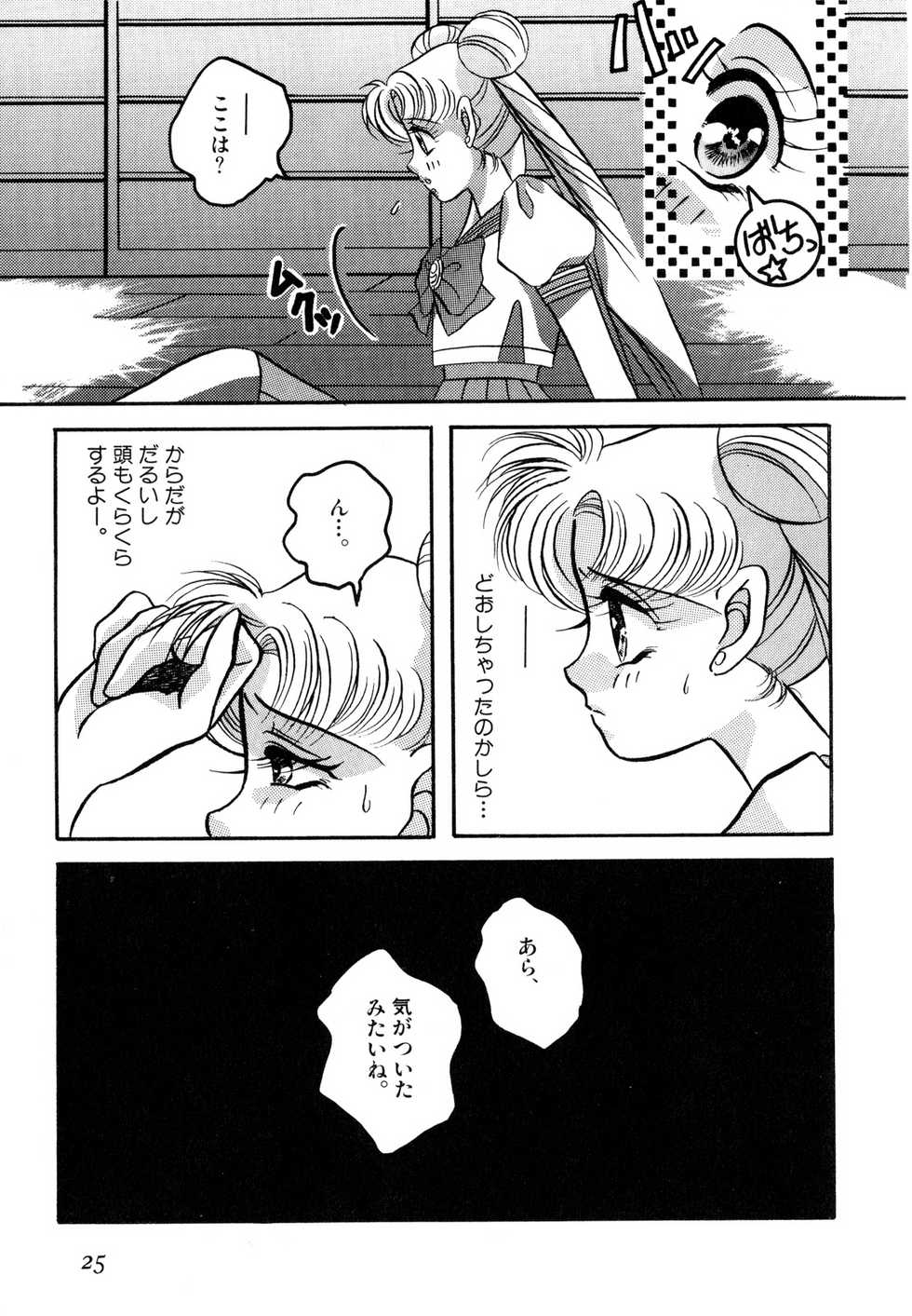 [Anthology] Lunatic Party 2 (Sailor Moon) - Page 26