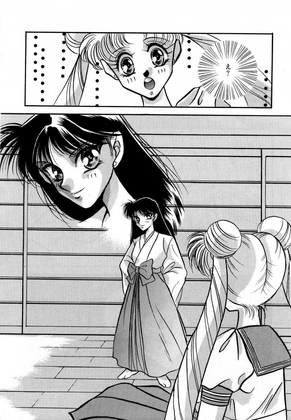 [Anthology] Lunatic Party 2 (Sailor Moon) - Page 27