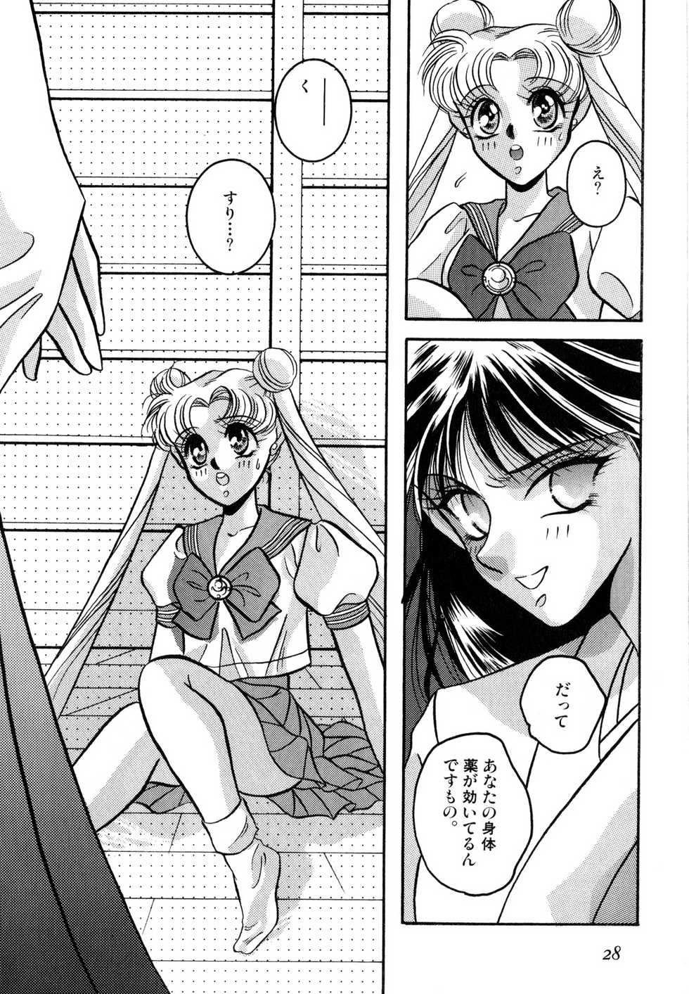 [Anthology] Lunatic Party 2 (Sailor Moon) - Page 29