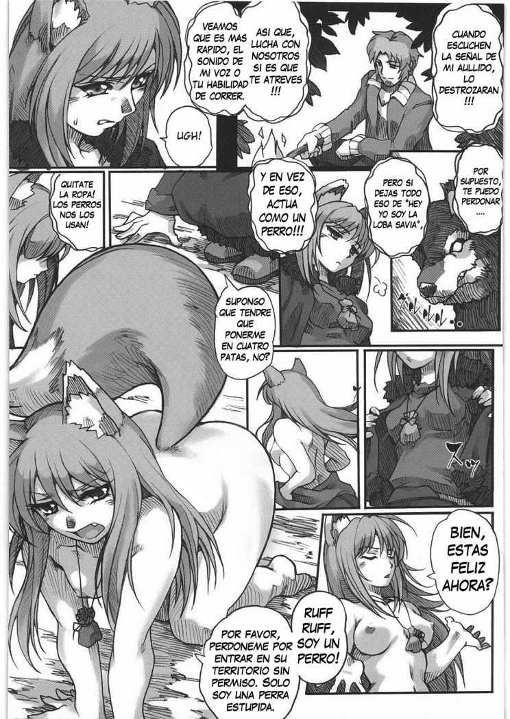 (C76) [Kacchuu Musume (Hisahiko, Shimamoto Harumi)] Smalt Leather (Spice and Wolf) [Spanish] - Page 4