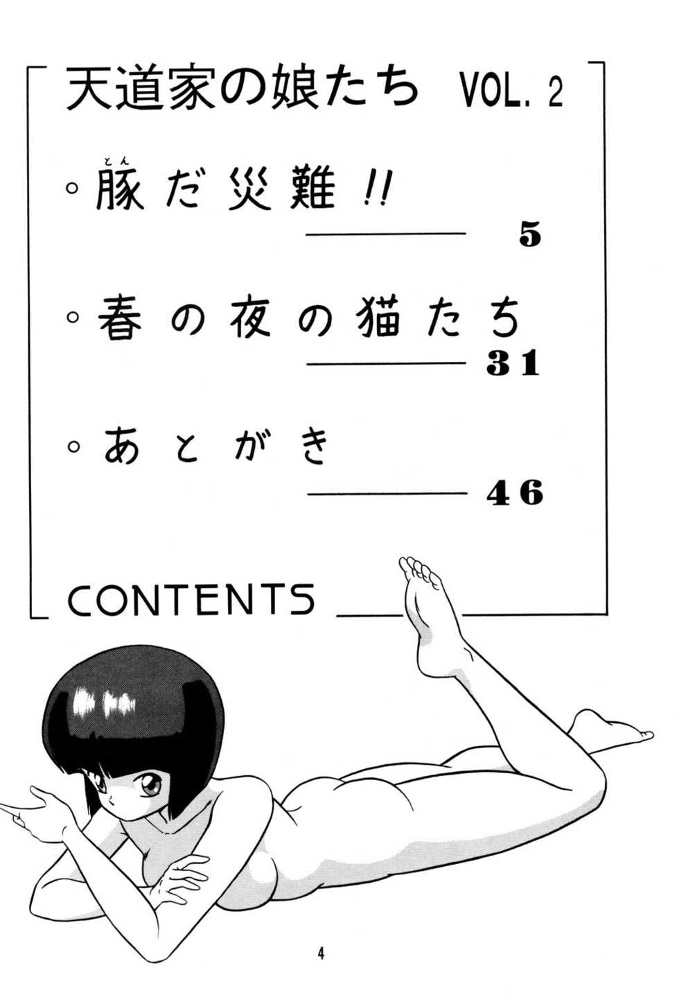 [Takashita-ya (Taya Takashi)] Tendou-ke no Musume-tachi Vol. 2 (Ranma 1/2) - Page 3