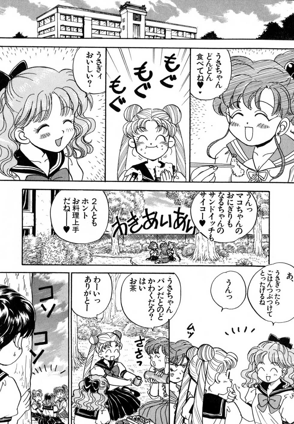 [Anthology] Lunatic Party 4 (Bishoujo Senshi Sailor Moon) - Page 30