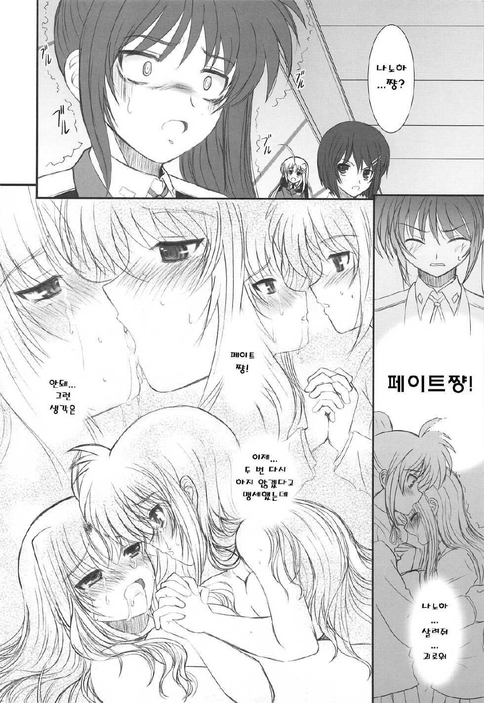 (C75) [Dieppe Factory (Alpine)] FATE FIRE WITH FIRE 2 (Mahou Shoujo Lyrical Nanoha)(korean) - Page 4