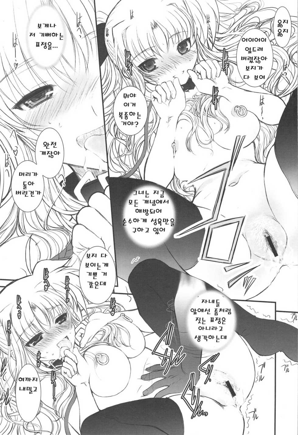 (C75) [Dieppe Factory (Alpine)] FATE FIRE WITH FIRE 2 (Mahou Shoujo Lyrical Nanoha)(korean) - Page 11