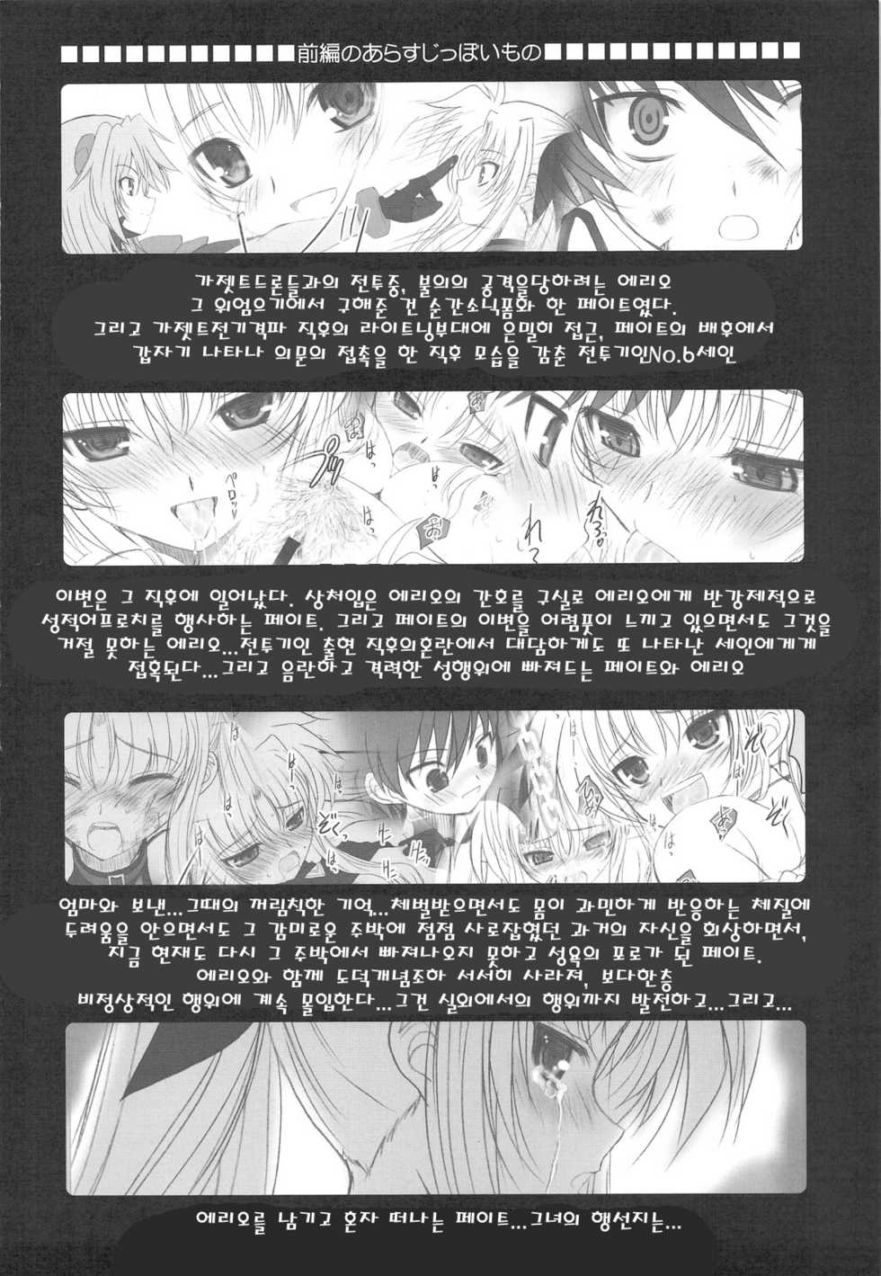 (C75) [Dieppe Factory (Alpine)] FATE FIRE WITH FIRE 2 (Mahou Shoujo Lyrical Nanoha)(korean) - Page 12