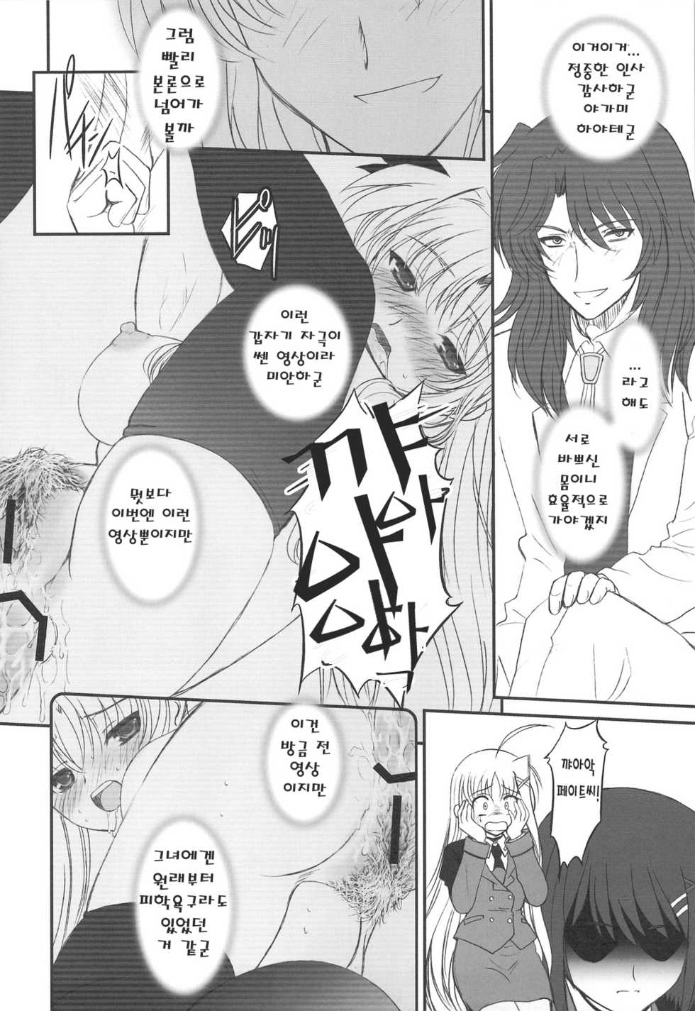 (C75) [Dieppe Factory (Alpine)] FATE FIRE WITH FIRE 2 (Mahou Shoujo Lyrical Nanoha)(korean) - Page 30