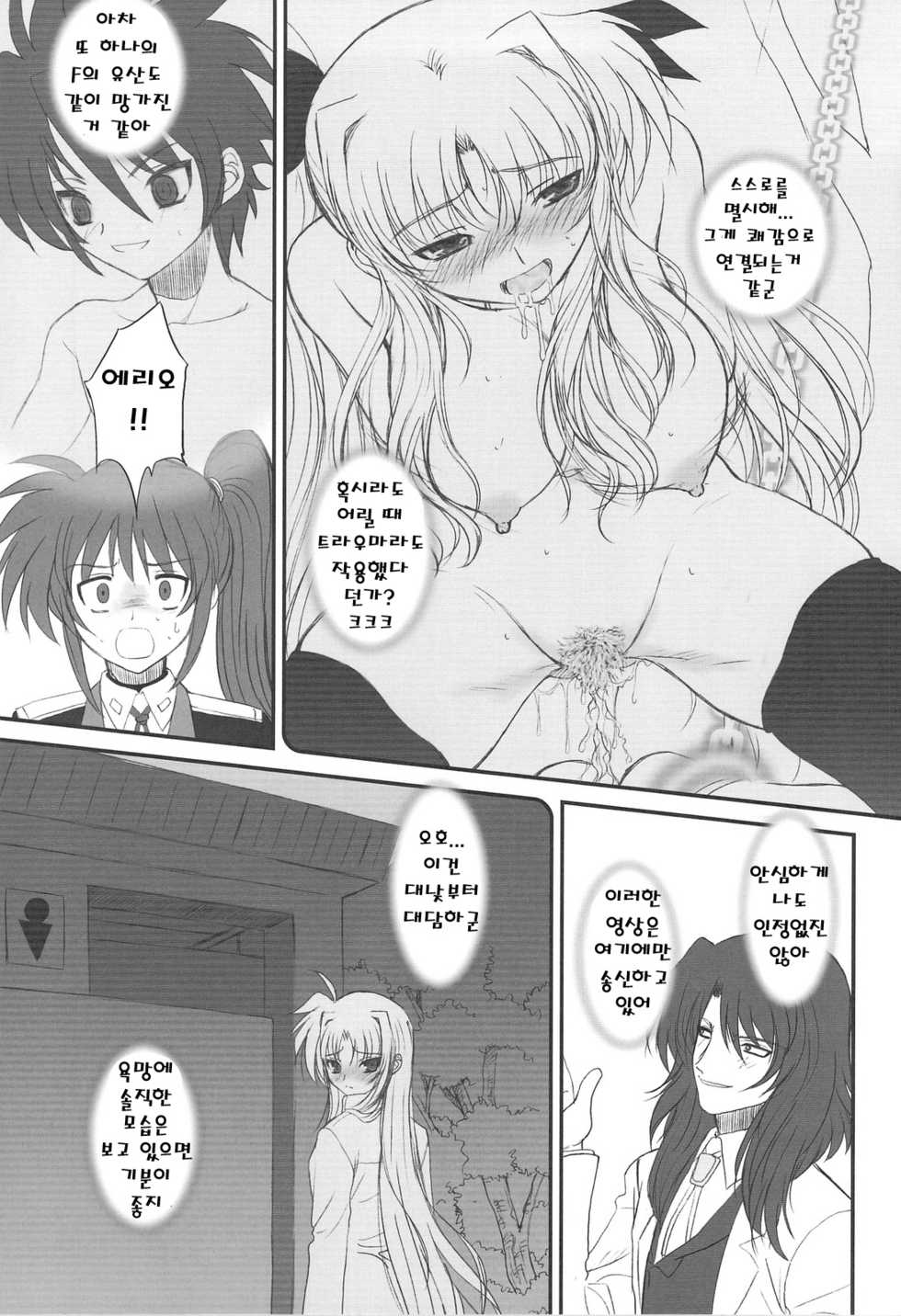 (C75) [Dieppe Factory (Alpine)] FATE FIRE WITH FIRE 2 (Mahou Shoujo Lyrical Nanoha)(korean) - Page 31