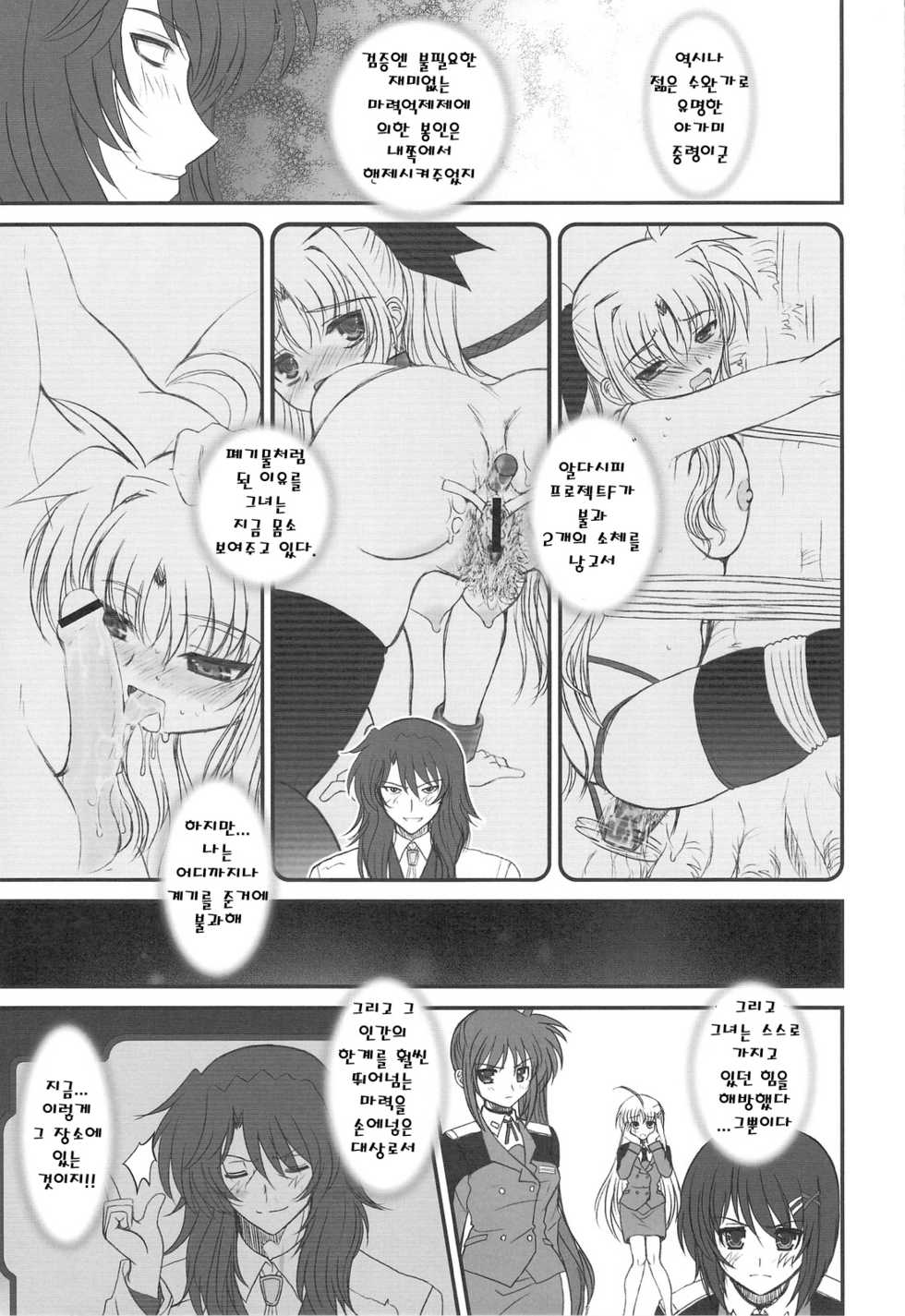 (C75) [Dieppe Factory (Alpine)] FATE FIRE WITH FIRE 2 (Mahou Shoujo Lyrical Nanoha)(korean) - Page 33