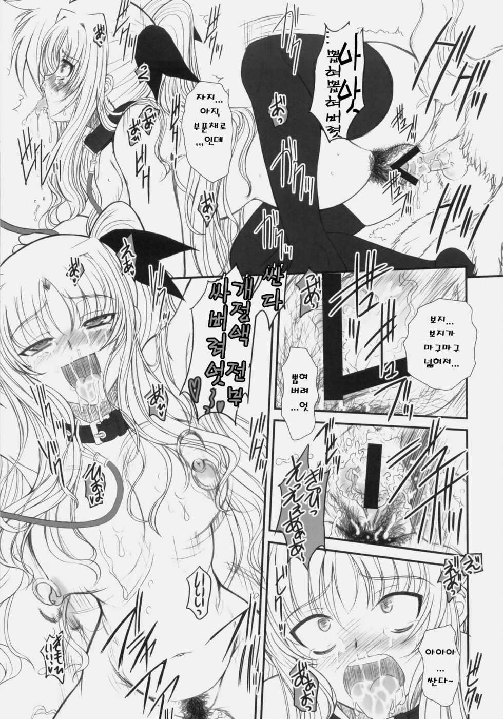 (C76) [Dieppe Factory (Alpine)] FATE FIRE WITH FIRE 3 (Mahou Shoujo Lyrical Nanoha) [Korean] - Page 22