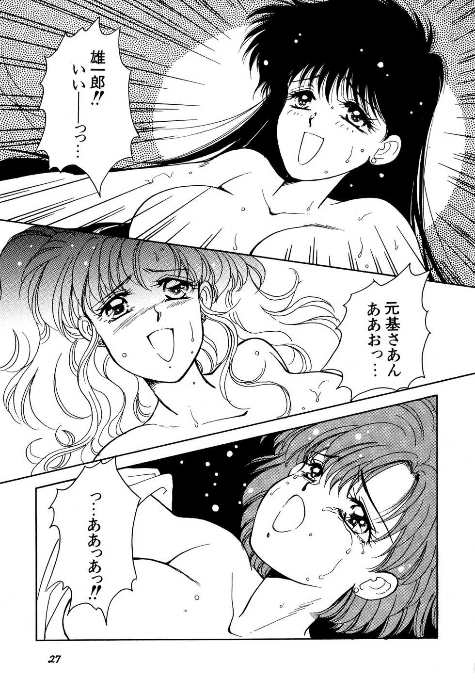 [Anthology] Lunatic Party 5 (Bishoujo Senshi Sailor Moon) - Page 28