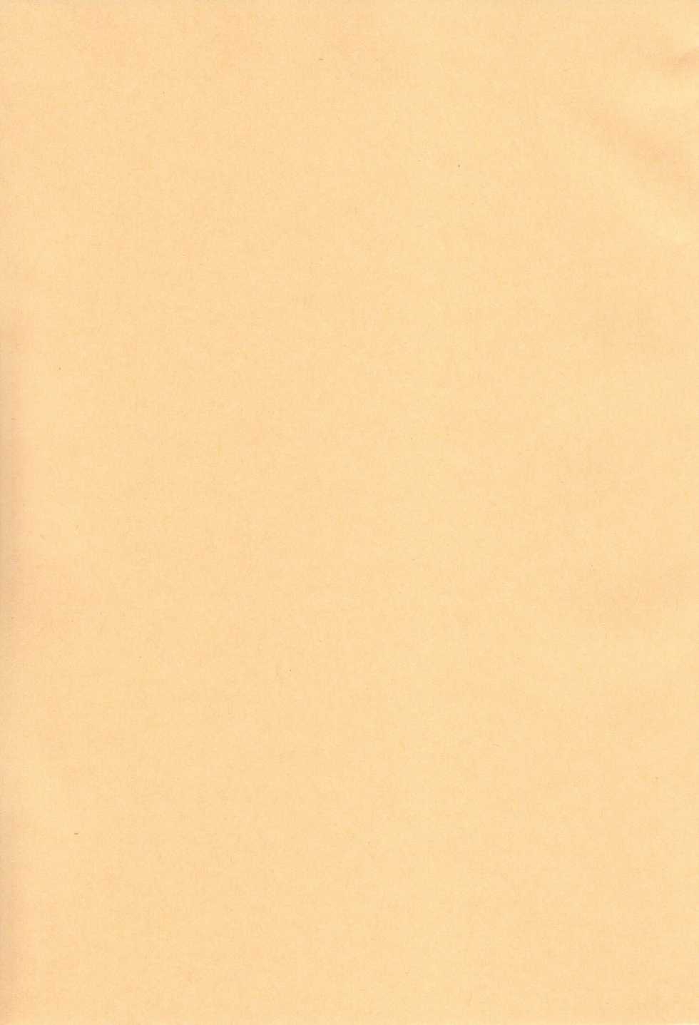 [SEM;COLON (Mitsu King)] Chicken Maid Party (Mayo Chiki!) [2011-09-25] - Page 21